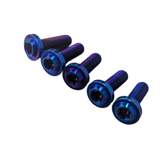M6 Titanium Screws